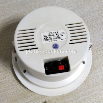 HiFi Liting Loudspeaker System PA